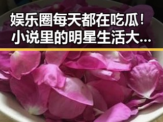 娱乐圈每天都在吃瓜！小说里的明星生活大揭秘✨