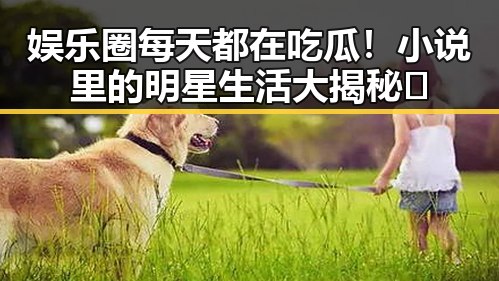 娱乐圈每天都在吃瓜！小说里的明星生活大揭秘✨
